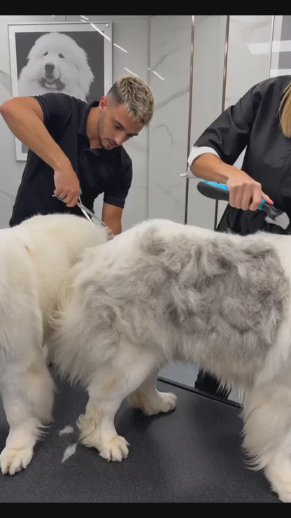 Pettine per cani e gatti